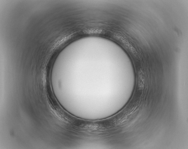 X0000116020631200912041751