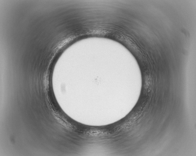 X0000116020632200912041751