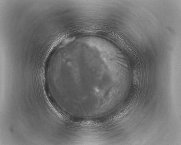 X0000116020634200912041751