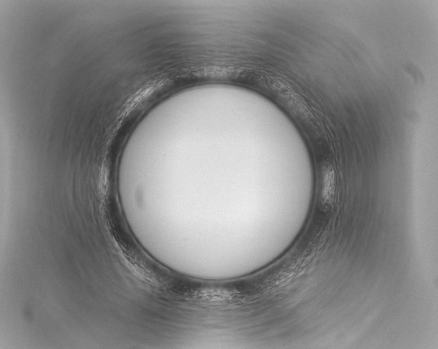 X0000116020636200912041751