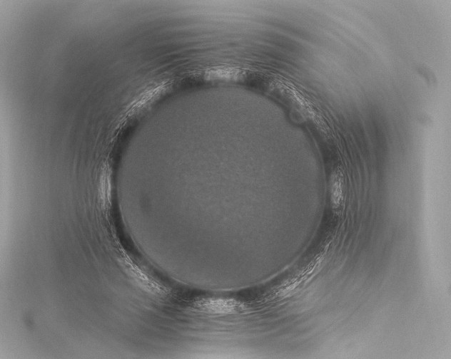 X0000116020637200912041751