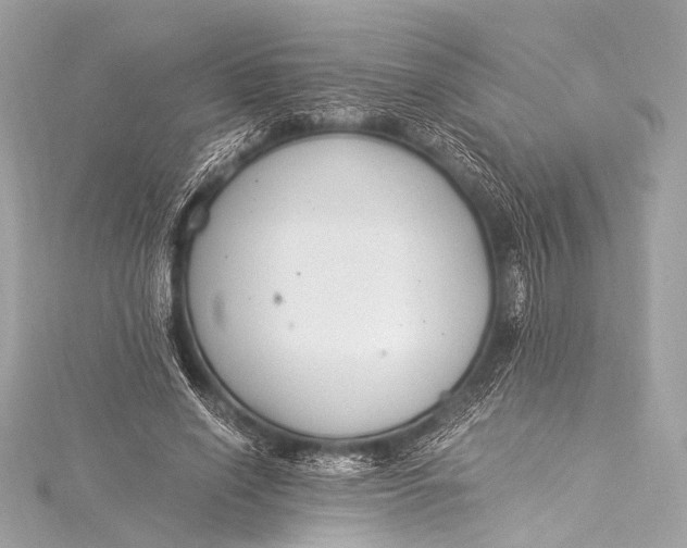 X0000116020638200912041751