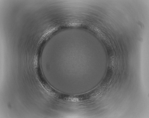 X0000116020640200912041751