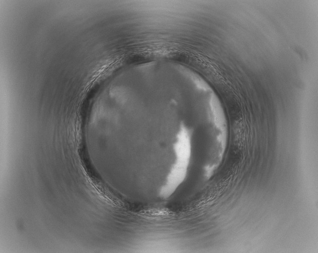 X0000116020642200912041751