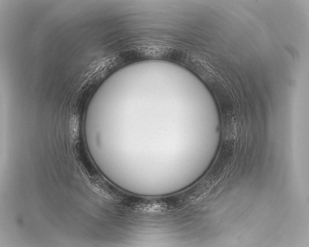 X0000116020646200912041751