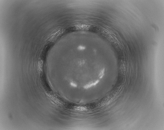 X0000116020649200912041751