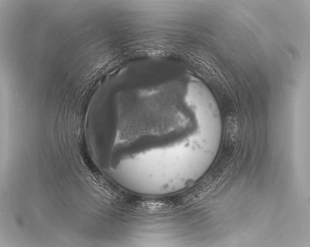 X0000116020650200912041751