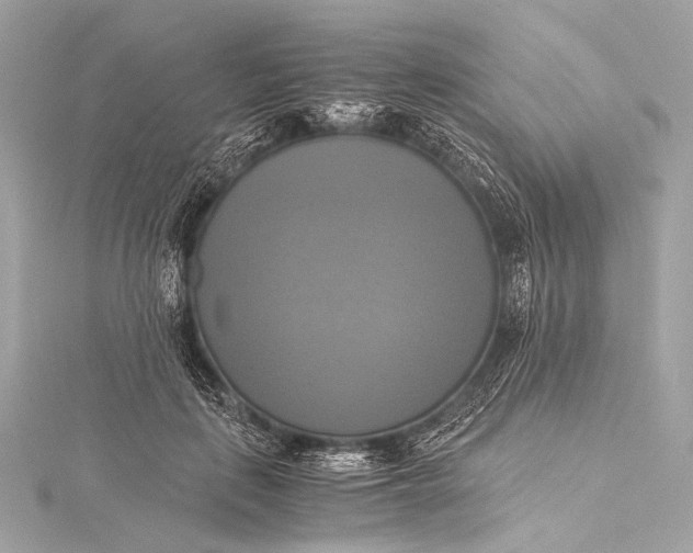 X0000116020651200912041751