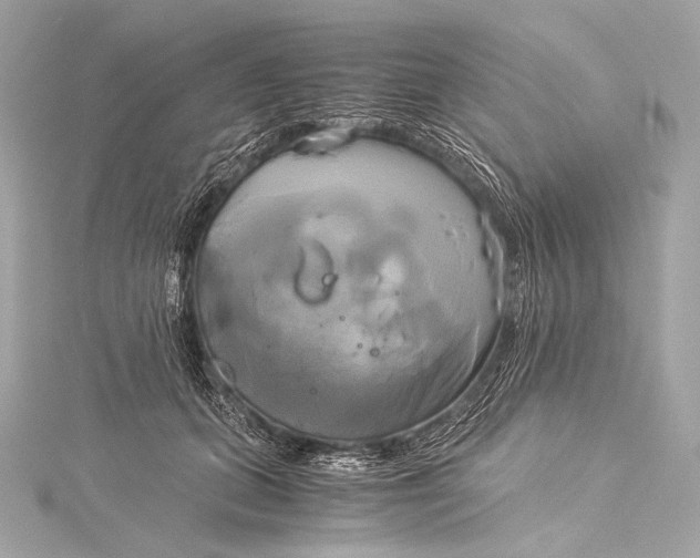 X0000116020655200912041751