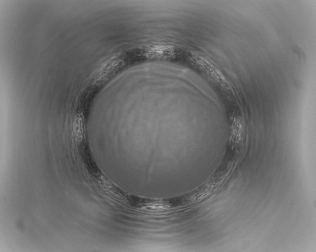 X0000116020659200912041751