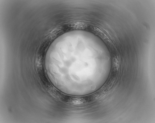 X0000116020663200912041751