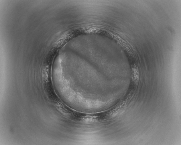 X0000116020664200912041751