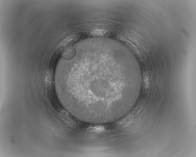 X0000116020665200912041751