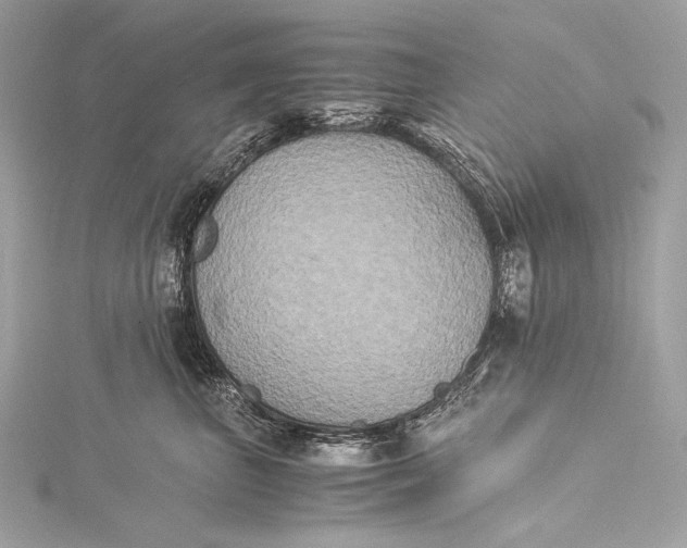 X0000116020667200912041751