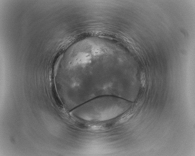 X0000116020670200912041751