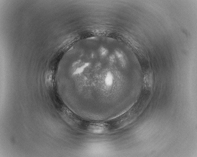 X0000116020671200912041751