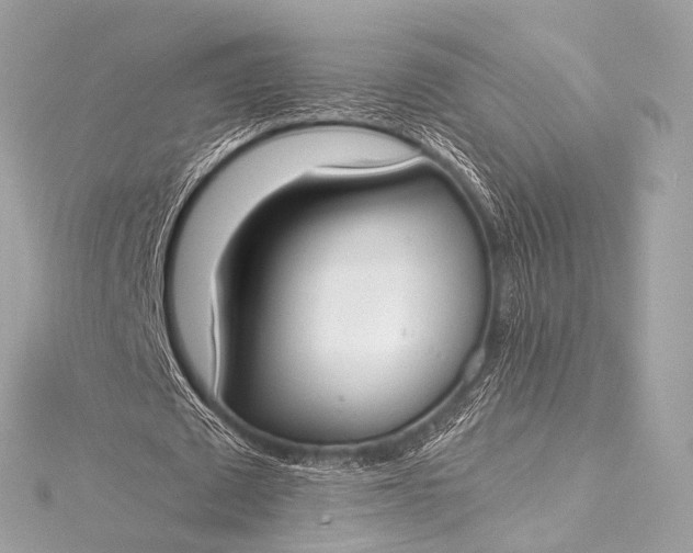 X0000116020673200912041751