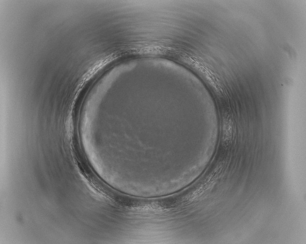 X0000116020674200912041751