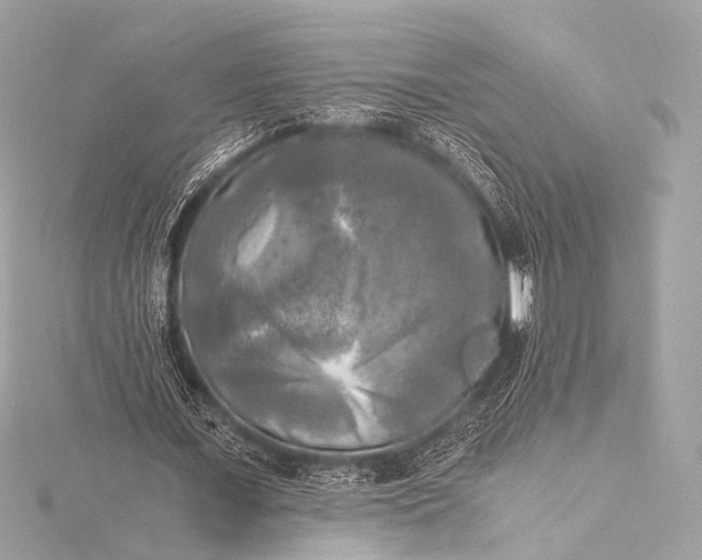 X0000116020675200912041751