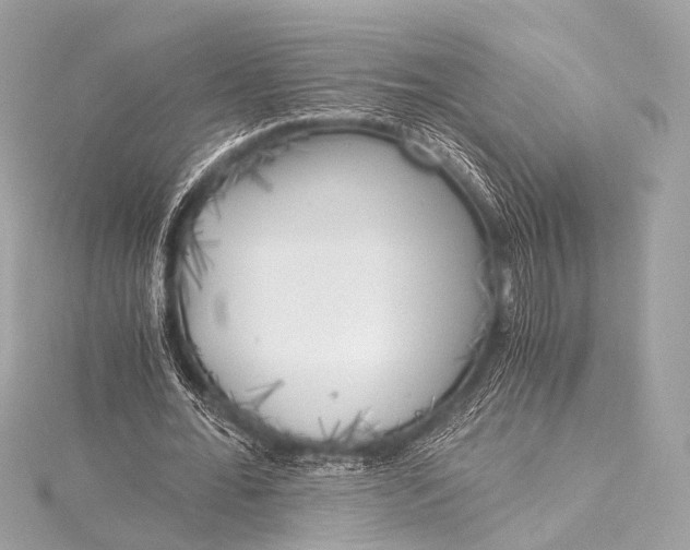 X0000116020676200912041751