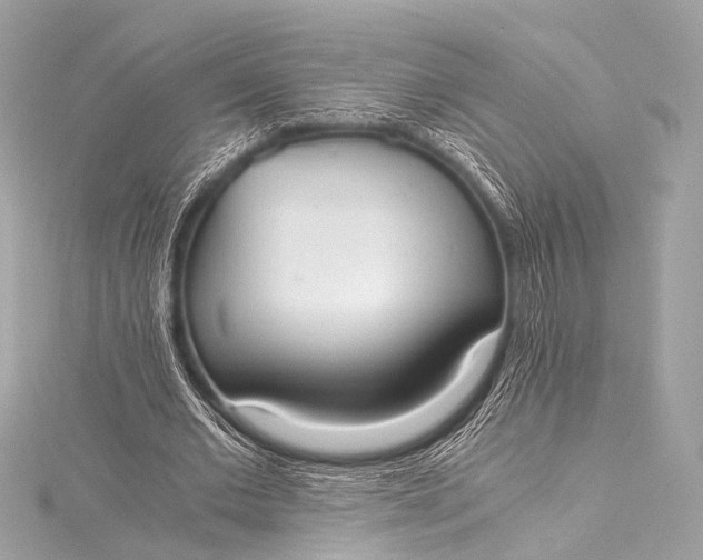 X0000116020677200912041751