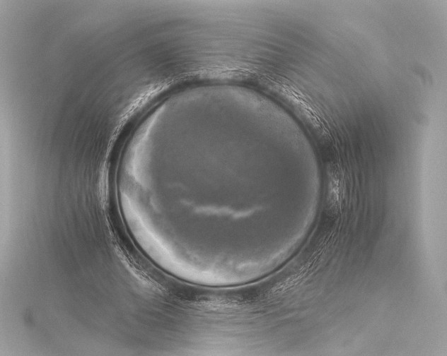 X0000116020678200912041751