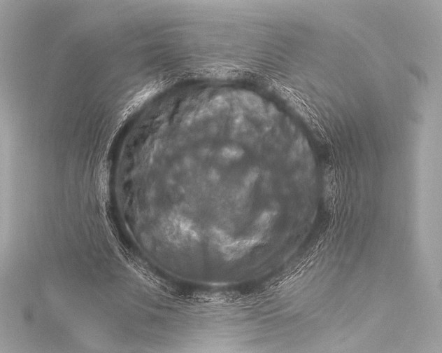 X0000116020679200912041751