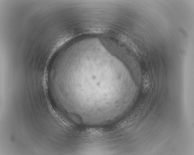 X0000116020680200912041751