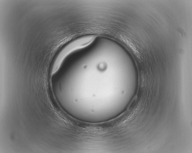 X0000116020681200912041751