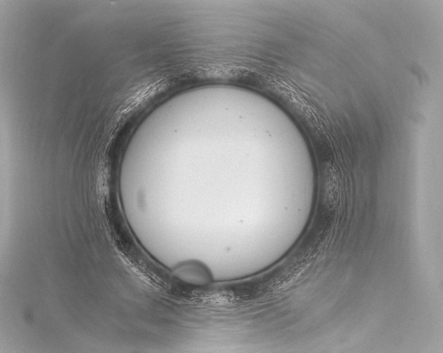 X0000116020683200912041751