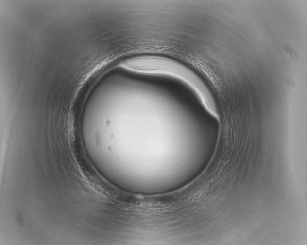 X0000116020684200912041751