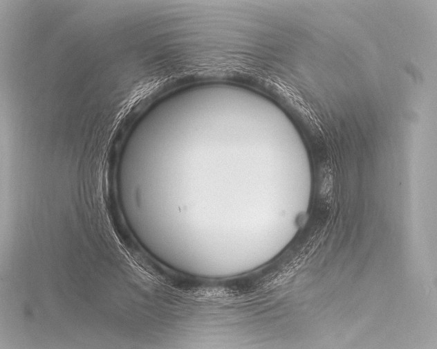 X0000116020685200912041750