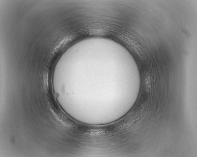 X0000116020686200912041750