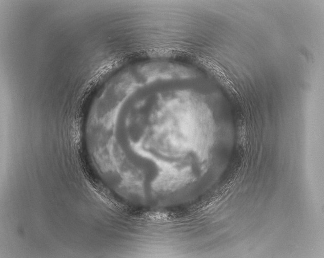 X0000116020687200912041750