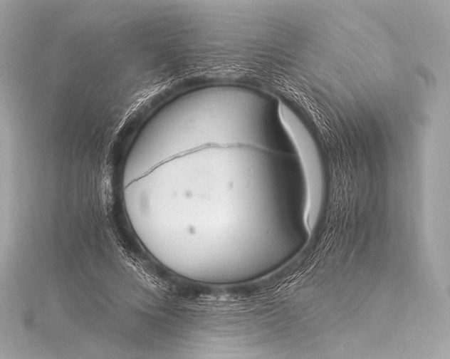 X0000116020688200912041750