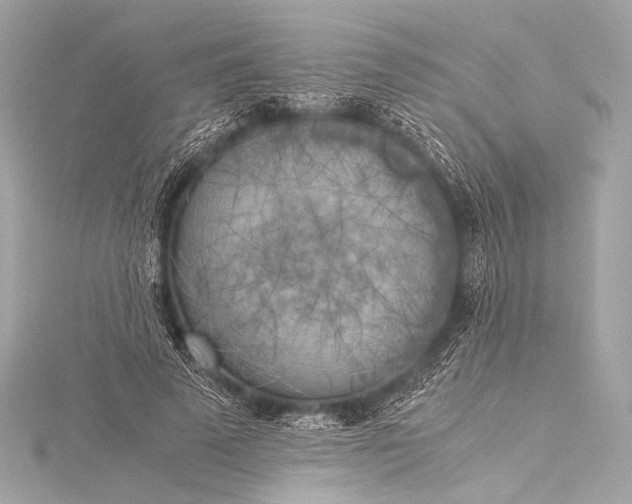 X0000116020689200912041750