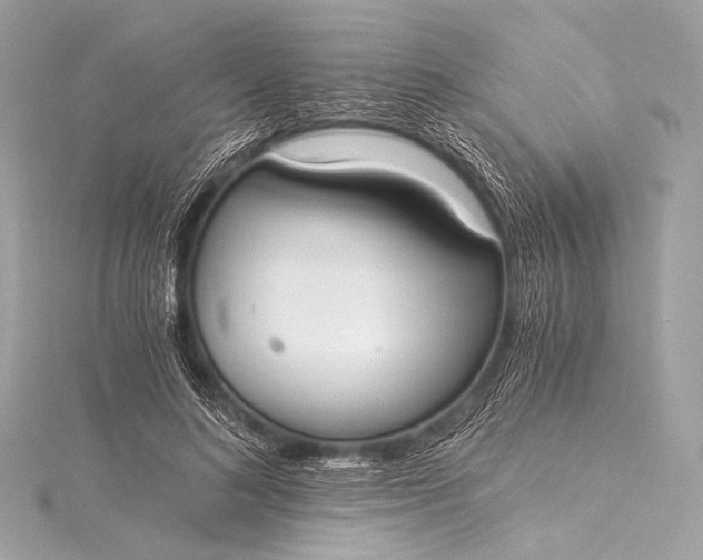 X0000116020692200912041750