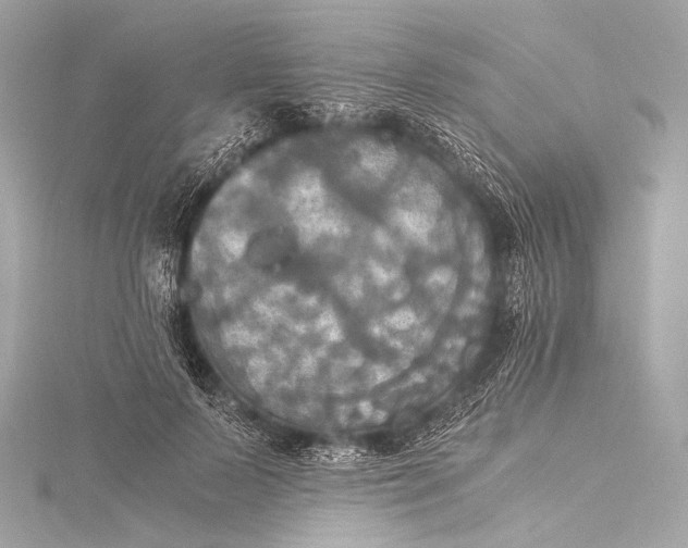 X0000116020695200912041750