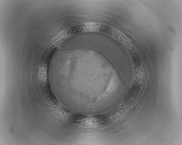 X0000116020696200912041750