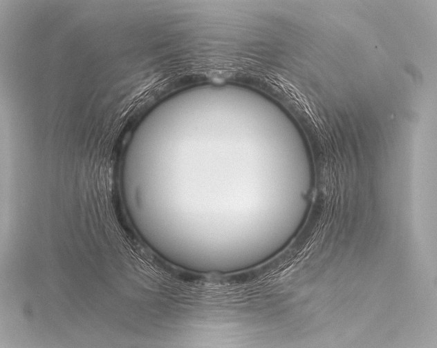 X0000116020697200912041750