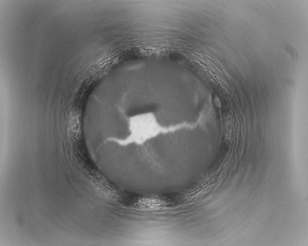 X0000116020699200912041750