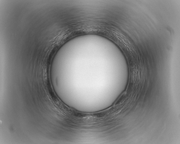 X0000116020700200912041750