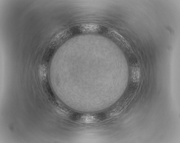 X0000116020701200912041750