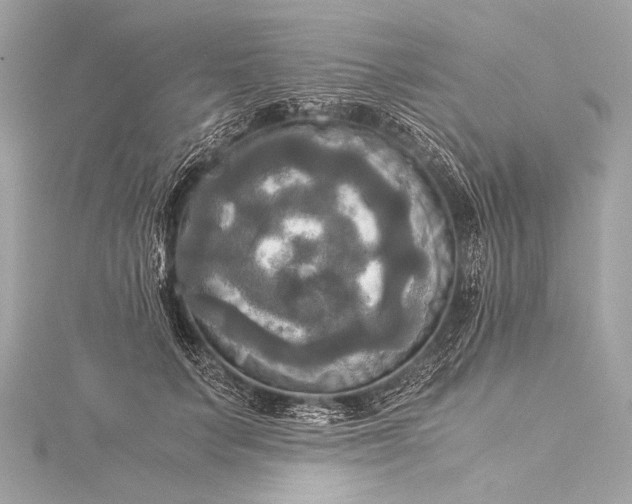 X0000116020703200912041750