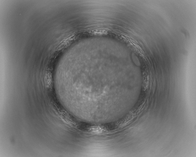 X0000116020704200912041750