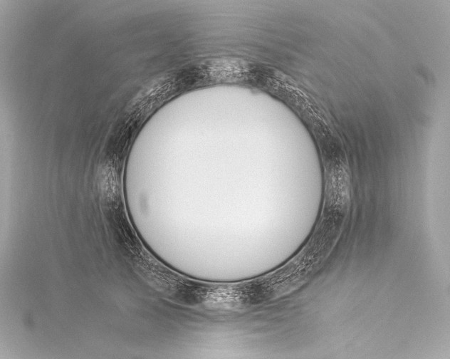 X0000116020705200912041750