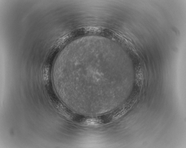 X0000116020708200912041750