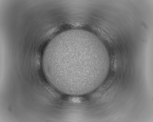 X0000116020710200912041750