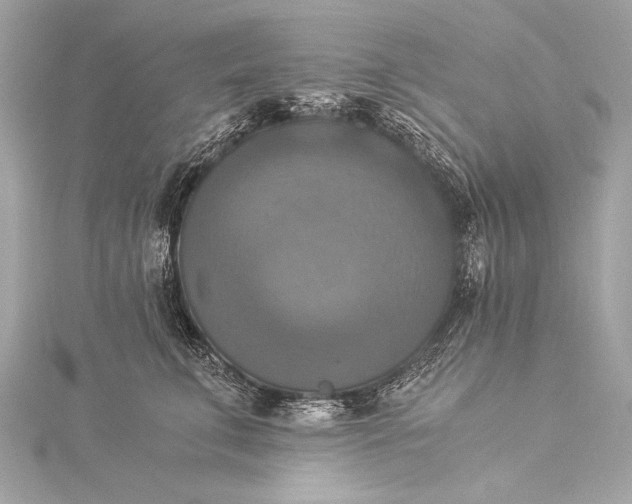 X0000116020711200912041750