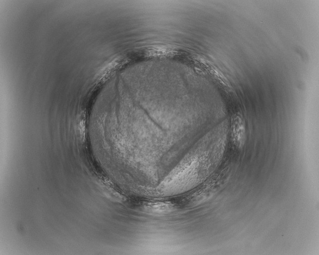 X0000116020716200912041750